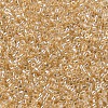 MIYUKI Delica Beads SEED-J020-DB0099-3