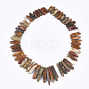 Natural Picasso Stone/Picasso Jasper Beads Strands G-S355-05-2