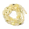 Natural Gold Prehnite Beads Strands G-K395-A07-01-3