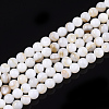 Freshwater Shell Beads Strands SHEL-T011-01-5mm-1