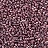 TOHO Round Seed Beads SEED-JPTR11-0305-2