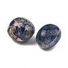 Natural Sodalite Beads G-G348-01B-02-2