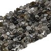Natural Labradorite Beads Strands G-Q060-E20-02-2