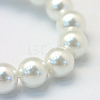 Baking Painted Pearlized Glass Pearl Round Bead Strands HY-Q330-8mm-01-3