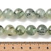 Natural Prehnite Beads Strands G-G474-A01-12mm-5