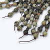 Natural Silver Leaf Jasper 3-Hole Guru Bead Strands G-K149-29-4