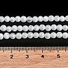 Cat Eye Beads Strands CE-F022-4mm-15-5