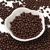 6/0 Opaque Baking Paint Glass Seed Beads X1-SEED-M012-02A-14-2