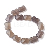 Natural Grey Agate Beads Strands G-K359-D03-01-3