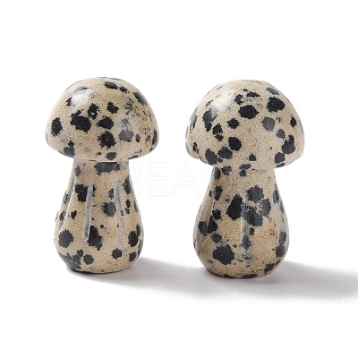 Natural Dalmatian Jasper GuaSha Stone G-A205-25E-1