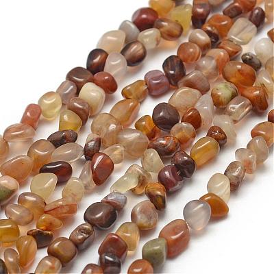 Natural Petrified Wood Beads Strands G-F465-20A-1