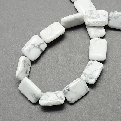 Natural Howlite Beads Strands X-G-S112-23-1