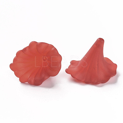 Transparent Acrylic Beads X-BSF796-C12-1