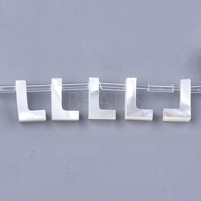 Natural Sea Shell Beads SHEL-T012-60L-1
