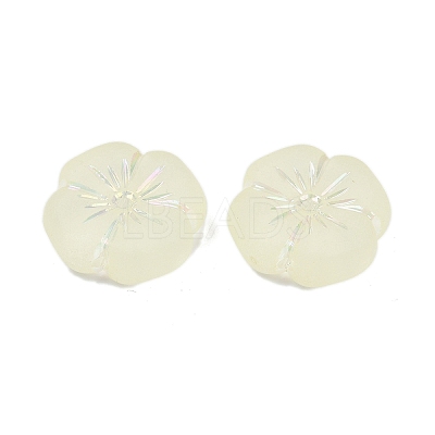 Frosted Transparent Acrylic Beads X1-OACR-P029-19B-03-1