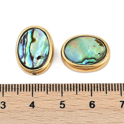Natural Paua Shell Beads SSHEL-M024-03B-G-1