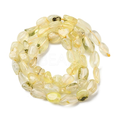 Natural Gold Prehnite Beads Strands G-K395-A07-01-1