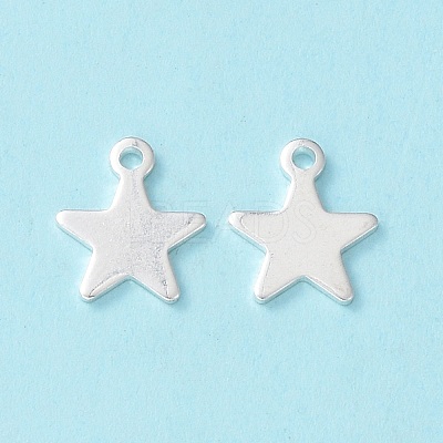 304 Stainless Steel Charms STAS-L234-069S-1