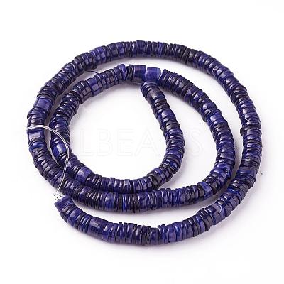 Shell Beads Strands SSHEL-E571-49F-1