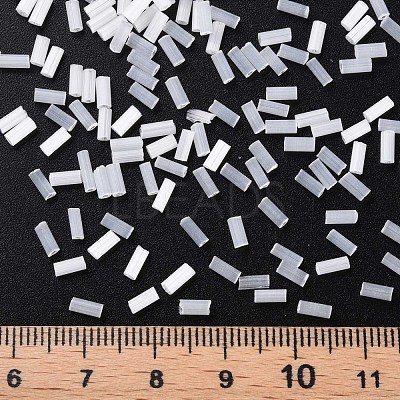Glass Bugle Beads SEED-N005-001-E01-1