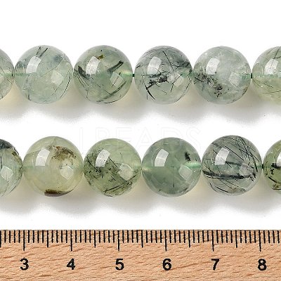 Natural Prehnite Beads Strands G-G474-A01-12mm-1