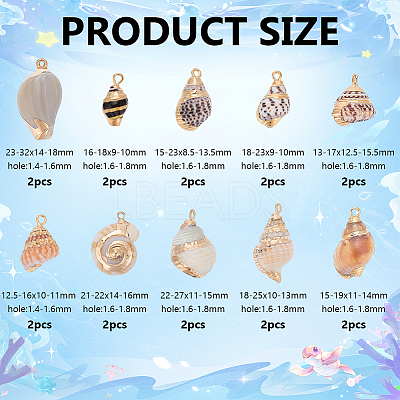 20Pcs 10 Styles Electroplated Natural Mixed Shell Pendants BSHE-GA0001-05-1