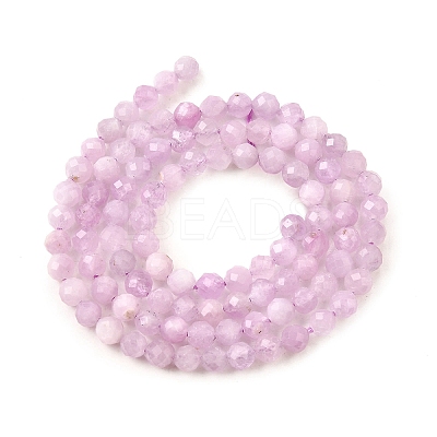 Natural Kunzite Beads Strands G-G259-D11-4mm-1