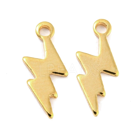 201 Stainless Steel Charms STAS-Z049-03G-1
