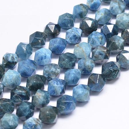 Natural Apatite Beads Strands G-N0313-06-10mm-1