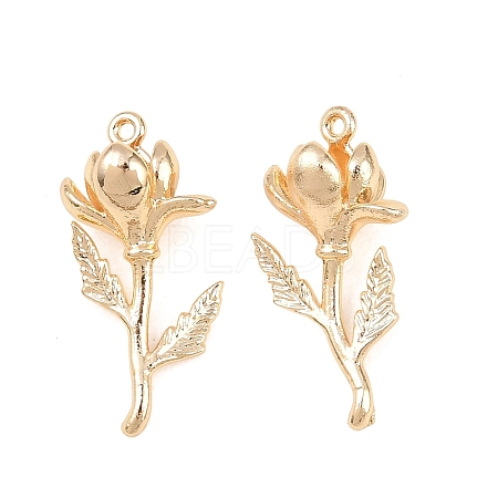 Brass Pendants KK-A288-01G-02-1