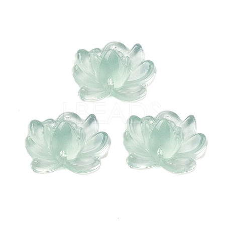 Acrylic Beads OACR-U001-05C-1