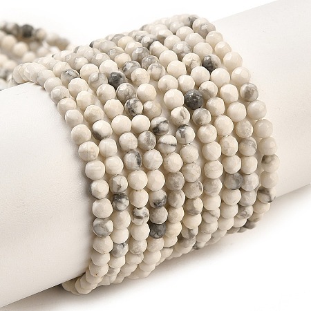 Natural Howlite Beads Strands G-Z068-B05-01-1