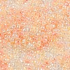 Ceylon Glass Seed Beads SEED-K009-02B-41-3