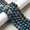 Natural Apatite Beads Strands G-D340-A02-10mm-1