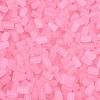 FGB Frosted Transparent Glass Seed Beads SEED-N013-05A-05-3