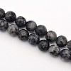 Faceted Round Natural Larvikite Beads Strands G-E302-083-8mm-1