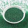 MIYUKI Round Rocailles Beads X-SEED-G009-RR0173-2