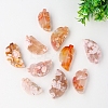 Natural Cherry Blossom Agate Display Decorations G-PW0004-28-2