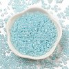 Ceylon Glass Seed Beads SEED-K009-02B-33-2