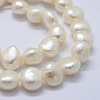 Natural Cultured Freshwater Pearl Beads Strands PEAR-K004-04D-3