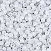 6/0 Glass Seed Beads SEED-N008-07N-3