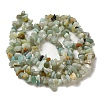 Natural Flower Amazonite Chips Beads Strands X-G-M205-12-01-3