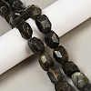 Natural Labradorite Beads Strands G-F796-C10-01-1