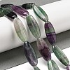 Natural Fluorite Beads Strands G-B078-E02-01-2