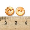 Freshwater Shell Buttons SHEL-C005-01A-05-3