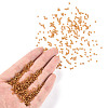 (Repacking Service Available) 12/0 Glass Seed Beads SEED-C014-2mm-22B-4