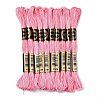 10 Skeins 6-Ply Polyester Embroidery Floss OCOR-K006-A09-1