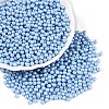 Glass Seed Beads SEED-T007-01N-3
