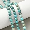 Dyed Natural Dolomite Beads Strands G-D337-8mm-D07-1