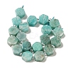 Natural Amazonite Beads Strands G-P534-A07-01-3